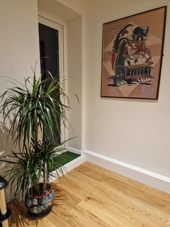Muswell Hill Apartment Free Parking 런던 외부 사진